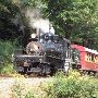 Graham County Railroad Company 1925 Shay Steam Locomotive