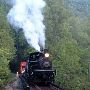 Graham County Railroad Company 1925 Shay Steam Locomotive
