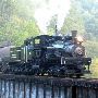 Graham County Railroad Company 1925 Shay Steam Locomotive