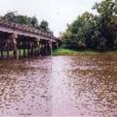 Neuse River Wildlife Boat Ramp