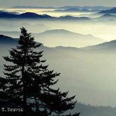 Clingman's Dome