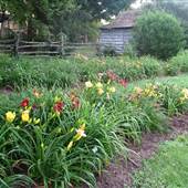 Millstone Meadows Farm