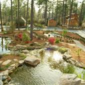 Sycamore Lodge