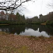 Mountain Retreat and Learning Center