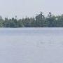 Catfish Lake