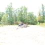 Camp Arrowhead