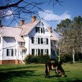 Currituck Lightkeeper's House