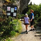 Grandfather Mountain - Bridge Trail