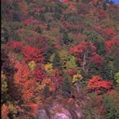 Grandfather Mountain - Views from Parkway