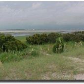 Rachael Carson Estuarine Reserve