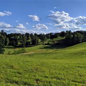 Friendship Pastures