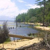 Goose Creek State Park