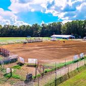 Cavvietta Quarter Horse & Cattle Co.