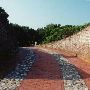 Fort Macon