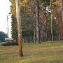 Croatan National Forest