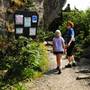 Grandfather Mountain - Bridge Trail