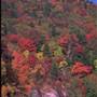 Grandfather Mountain - Views from Parkway