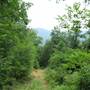 Campbell Creek Watershed