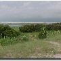 Rachael Carson Estuarine Reserve