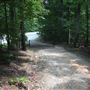 Duke Forest