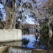 Bennett's Millpond