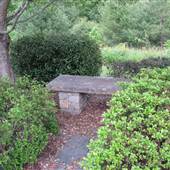 Sweet Woods