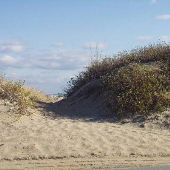 Kitty Hawk, Town of