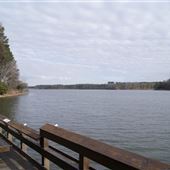 Harris Lake County Park