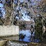 Bennett's Millpond