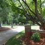 Nash Square