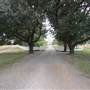 Hayes Plantation