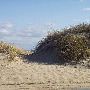 Kitty Hawk Beach