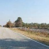 Old Hwy 70 - Dover -Cove City - Tuscarora