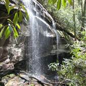 Slick Rock