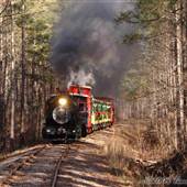 New Hope Valley Railway