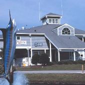 Pirate's Cove Marina