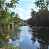 Neuse River