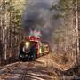 New Hope Valley Railway