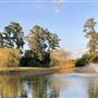 Whispering Oaks Park and Residence