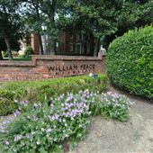 William Peace University