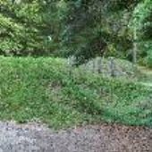 Fort Raleigh National Historic Site