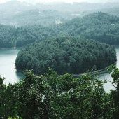 Buck Knob Island