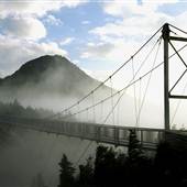 Grandfather Mountain - Swinging Bridge