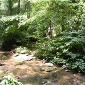 Lost 40 Acres