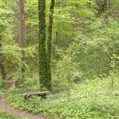 Woodland Park