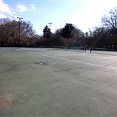 Forest Hills Park