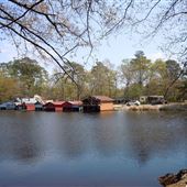 Lake Wendell