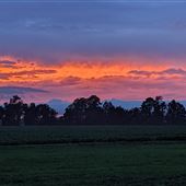 Hidden Crick Farms