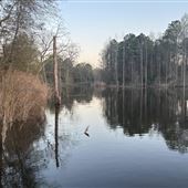 Beautiful Forest-Enclosed Lake in Duplin County