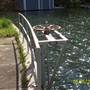 Lake Lanier Dam